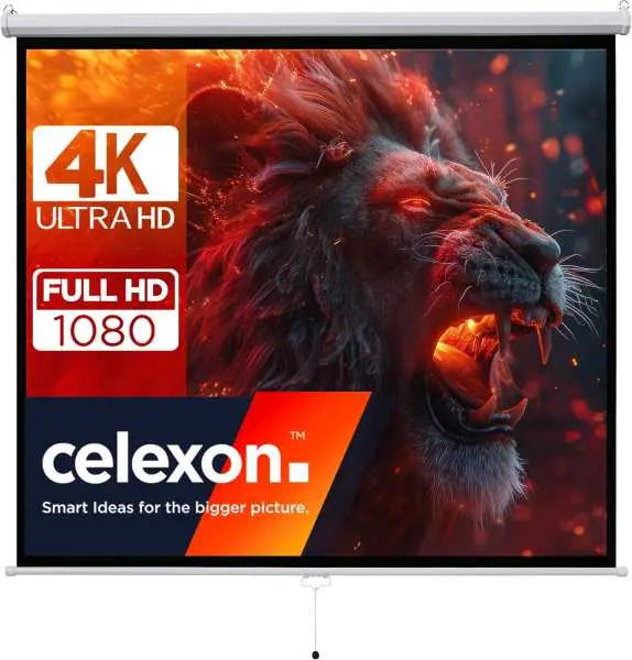 Pantalla electrica Celexon 134 pulgadas
